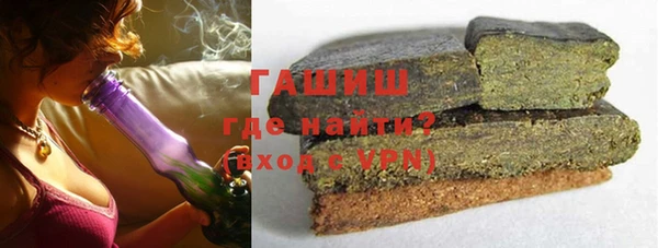 индика Новодвинск