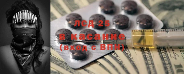 индика Новодвинск
