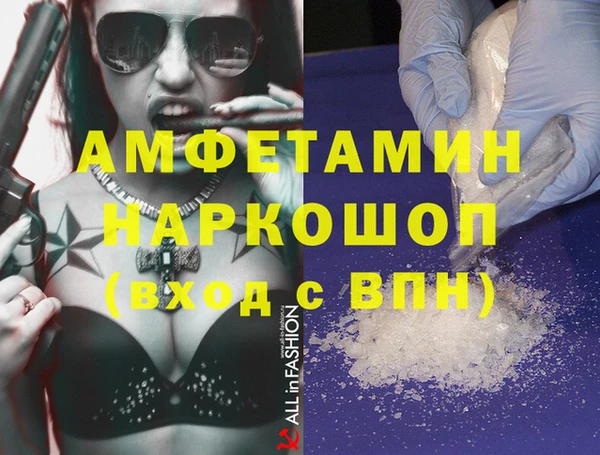 индика Новодвинск