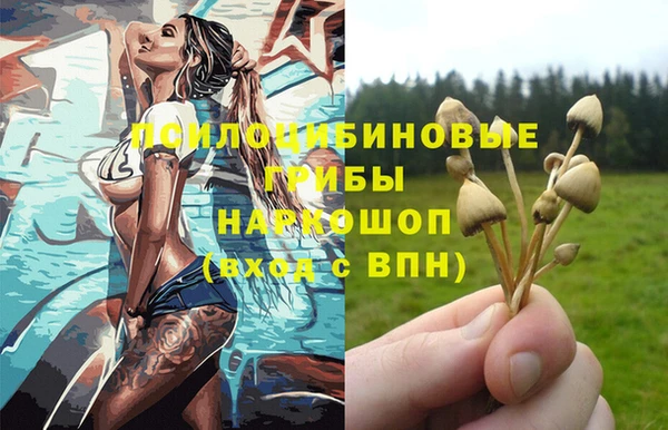стафф Алексеевка