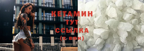 стафф Новозыбков
