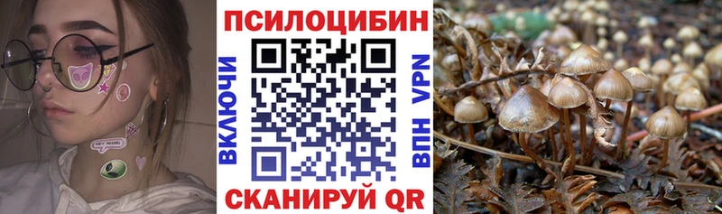 hydra как войти  Щёлкино  Галлюциногенные грибы GOLDEN TEACHER 